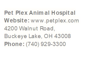 Pet Plex